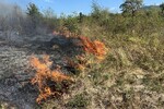 A száraz aljnövényzetben gyorsan tovaterjednek a lángok | Fotó: ISU Arad