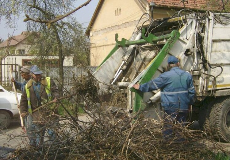 <em>Hír szerkesztése</em> Növényi hulladékgyűjtés Pécskán