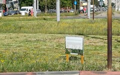 Várják a beporzó méhecskéket – olvasható a táblán | Fotó: Aradi Hírek