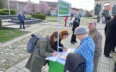 A helyhatósági választások után az elnöki és parlamenti választáshoz is aláírásokat gyűjtenek | Fotó: Pataky Lehel Zsolt