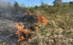 A száraz aljnövényzetben gyorsan tovaterjednek a lángok | Fotó: ISU Arad